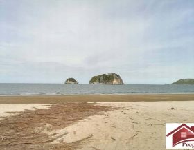 Pranburi -Pepsi Ad.beachfront 35 rai pic (2)