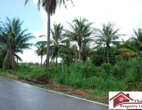 Land For Sale Thap Sakae (4)